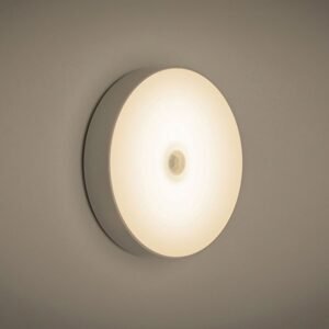 Motion Light ১পিস
